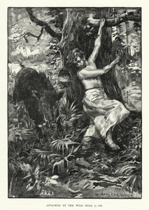 Angrebet af vildsvinet (gravering) af English School