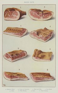 Baconudskæringer (farve litho) af English School