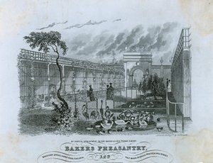 Bakers Pheasantry, Chelsea af English School