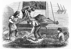 Ballast-heavers på arbejde i poolen, illustration fra 
