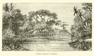 Bambusbro i Borneo af English School