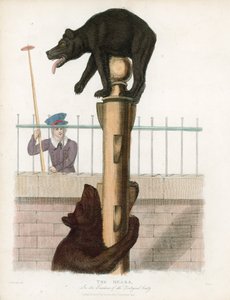 Bear Pit, London Zoological Gardens, Regents Park af English School