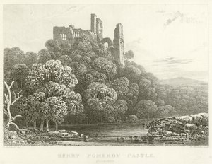 Berry Pomeroy Castle, Devonshire (gravering) af English School
