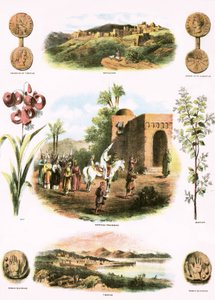 Bibelske Illustrationer af English School