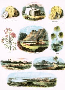 Bibelske Illustrationer af English School