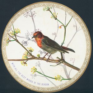 Fugl, julekort af English School