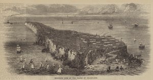 Fugleperspektiv af øen Helgoland (gravering) af English School