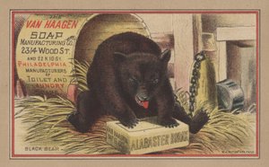Sort bjørn (farve litho) af English School