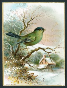 Blackcap Warbler, julekort af English School