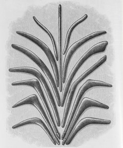 Boomerang- og boomerangformede køller, fra 