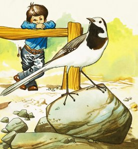 Junge beobachtet einen unbekannten Vogel von English School