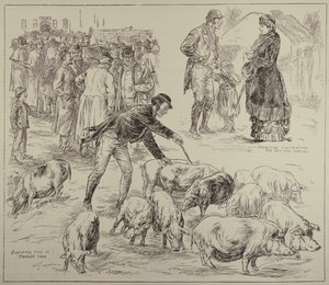 Boycotting in Ireland, fra The Illustrated London News, 4. oktober 1886