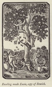 Drenge plukker æbler (gravering) af English School