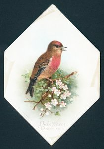 Brambling, nytårskort af English School