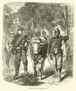 Indbringelse af en fange, september 1870 af English School