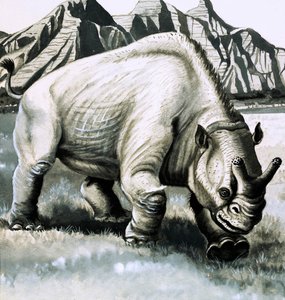 Brontotherium fra Oligocæn-alderen af English School
