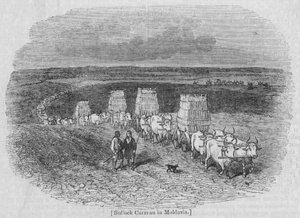 Bullock Caravan i Moldavien af English School