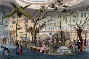 Bullocks Museum, 22 Piccadilly, London, fra Ackermanns Repository of Arts, 1809 af English School