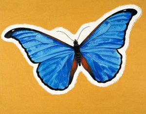 Sommerfugl af English School