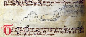 CCA-LitMs/D/10 fol. 11v Mole, fra Bestiary af English School