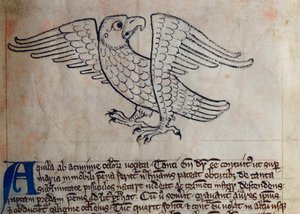 CCA-LitMs/D/10 fol. 13r Eagle, fra Bestiary af English School