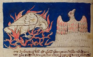CCA-LitMs/D/10 fol. 17v Pheonix, fra Bestiary af English School