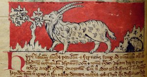 CCA-LitMs / D / 10 fol. 8v Goat, from Bestiarydani af English School