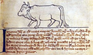 CCA-LitMs/D/10 fol. 9r Bullock, fra Bestiary af English School