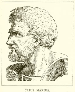 Caius Marius af English School