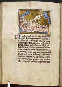 Caladrius fugl - Bestiarium, Royal MS 12 C XIX, f.47v af English School