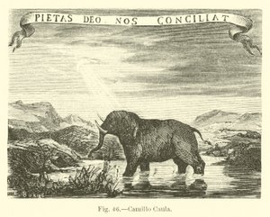 Camillo Caula af English School