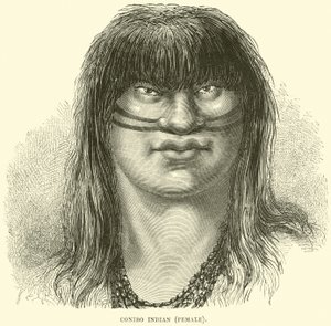 Canibo Indian, kvinde af English School