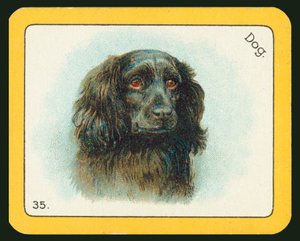 Kort fra The Black Cat Greyhound Racing Game (farvelitografi) af English School
