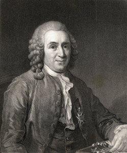 Carl von Linne eller Linnaeus (1707-78) fra Gallery of Portraits, udgivet i 1833 af English School