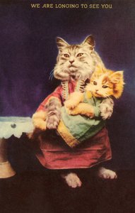 Kat og killing (farve litho) af English School