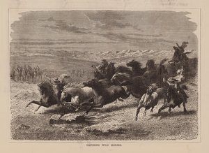 Fangst af vilde heste (gravering) af English School