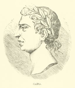 Cato af English School