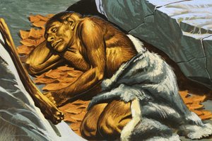 Hulemand sover af English School