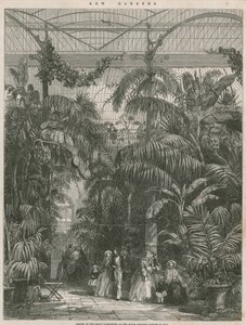 Center for Great Palm House ved Royal Botanic Gardens of Kew af English School
