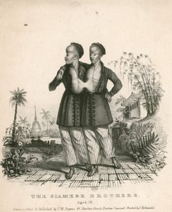 Chang og Eng, de siamesiske unge, på 18 år af English School