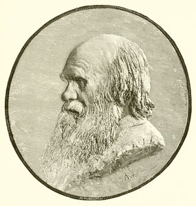 Charles Darwin af English School