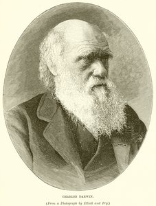 Charles Darwin af English School