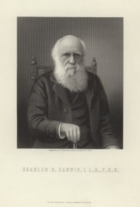 Charles R. Darwin af English School