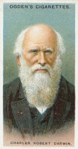 Charles Robert Darwin af English School