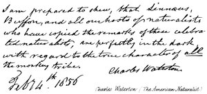 Charles Waterton (den amerikanske naturforsker) af English School