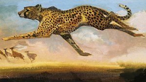 Gepard af English School