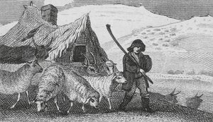 Cheviot fårehyrder (gravering) af English School