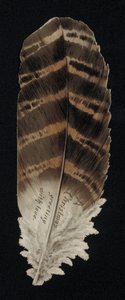 Julekort i form af en fjer, lykønskningskort. (chromolitho) af English School