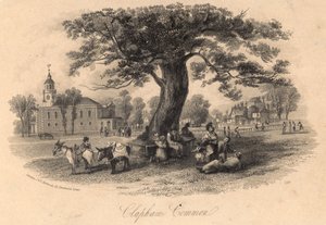Clapham Common, Surrey af English School