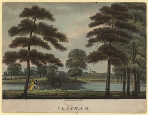 Clapham, Surrey af English School